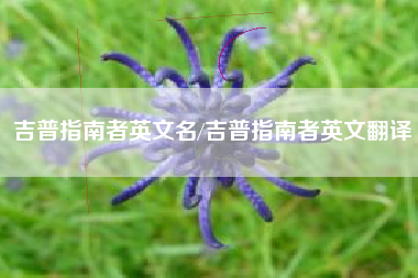 吉普指南者英文名/吉普指南者英文翻译