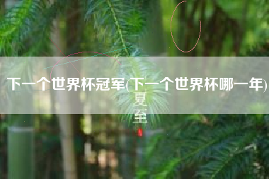 下一个世界杯冠军(下一个世界杯哪一年)