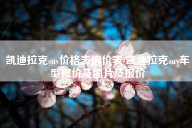 凯迪拉克suv价格表报价表/凯迪拉克suv车型报价及图片及报价 凯迪拉克suv价格表报价表/凯迪拉克suv车型报价及图片及报价