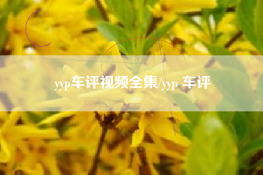 yyp车评视频全集/yyp 车评