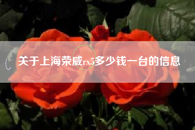 关于上海荣威rx5多少钱一台的信息 关于上海荣威rx5多少钱一台的信息