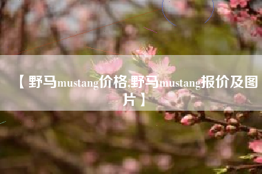【野马mustang价格,野马mustang报价及图片】 【野马mustang价格,野马mustang报价及图片】