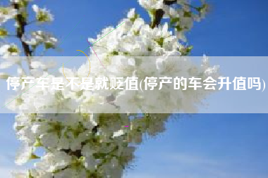 停产车是不是就贬值(停产的车会升值吗)