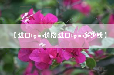 【进口tiguan价格,进口tiguan多少钱】