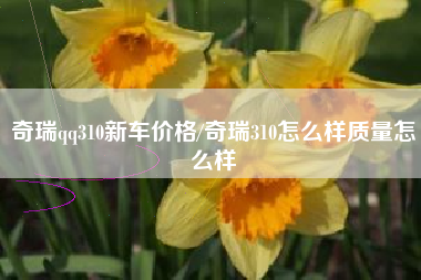 奇瑞qq310新车价格/奇瑞310怎么样质量怎么样