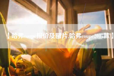 【哈弗coupe报价及图片,哈弗coupe2017款】 【哈弗coupe报价及图片,哈弗coupe2017款】