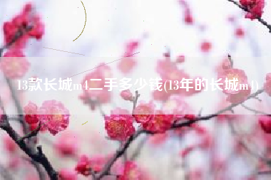 13款长城m4二手多少钱(13年的长城m4)