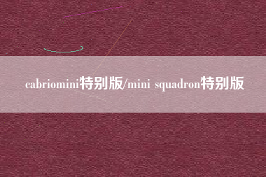 cabriomini特别版/mini squadron特别版 cabriomini特别版/mini squadron特别版