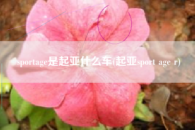 sportage是起亚什么车(起亚sport age r)