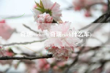 奇瑞riichm1(奇瑞riich什么车)