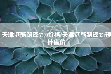 天津港酷路泽5700价格/天津港酷路泽35t预计售价
