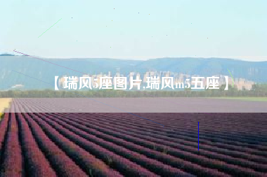 【瑞风5座图片,瑞风m5五座】