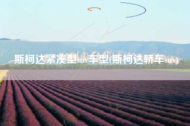 斯柯达紧凑型suv车型(斯柯达轿车suv)