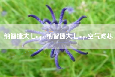 纳智捷大七mpv/纳智捷大七mpv空气滤芯