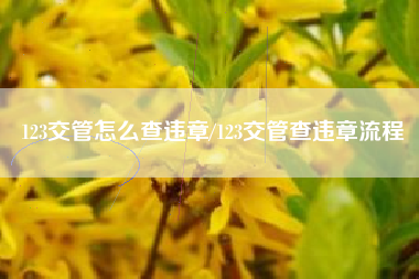 123交管怎么查违章/123交管查违章流程 123交管怎么查违章/123交管查违章流程