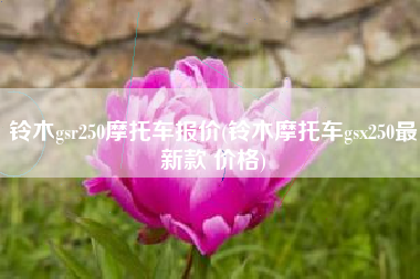 铃木gsr250摩托车报价(铃木摩托车gsx250最新款 价格) 铃木gsr250摩托车报价(铃木摩托车gsx250最新款 价格)