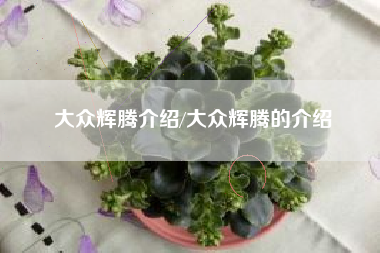 大众辉腾介绍/大众辉腾的介绍