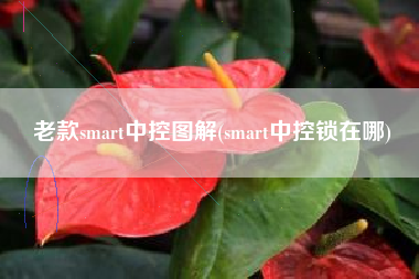 老款smart中控图解(smart中控锁在哪)