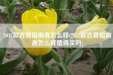 2017款吉普指南者怎么样(2017款吉普指南者怎么样值得买吗)