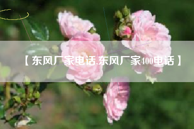 【东风厂家电话,东风厂家400电话】