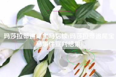 玛莎拉蒂追尾宝马后续(玛莎拉蒂追尾宝马事件宣判结果) 玛莎拉蒂追尾宝马后续(玛莎拉蒂追尾宝马事件宣判结果)