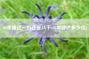 08年捷达一万还是八千(08年捷达多少钱) 08年捷达一万还是八千(08年捷达多少钱)