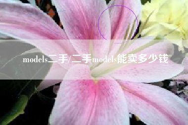 models二手/二手models能卖多少钱