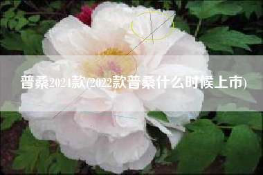 普桑2024款(2022款普桑什么时候上市)