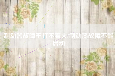 制动器故障车打不着火/制动器故障不能启动
