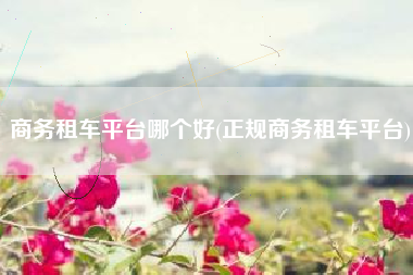 商务租车平台哪个好(正规商务租车平台) 商务租车平台哪个好(正规商务租车平台)