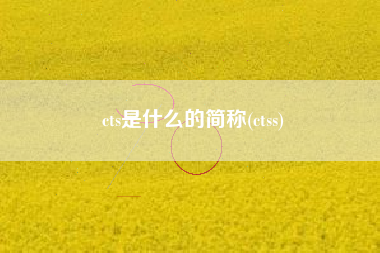 cts是什么的简称(ctss)