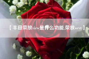 【丰田荣放view是什么功能,荣放wcvt】