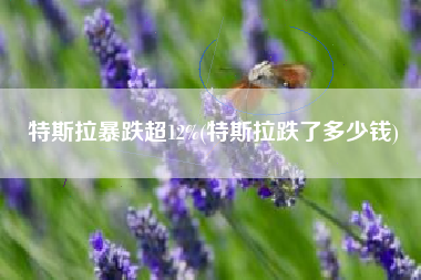 特斯拉暴跌超12%(特斯拉跌了多少钱)