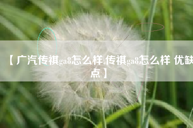 【广汽传祺ga8怎么样,传祺ga8怎么样 优缺点】