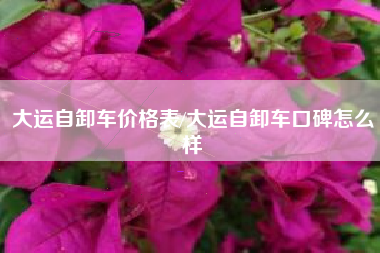 大运自卸车价格表/大运自卸车口碑怎么样