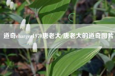 道奇charger1970唐老大/唐老大的道奇图片