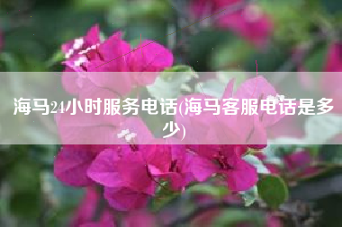 海马24小时服务电话(海马客服电话是多少)