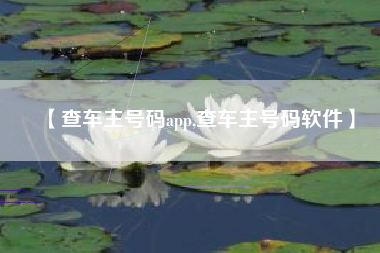 【查车主号码app,查车主号码软件】