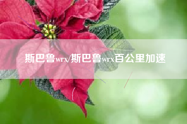 斯巴鲁wrx/斯巴鲁wrx百公里加速