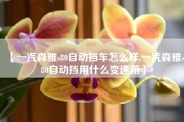 【一汽森雅s80自动挡车怎么样,一汽森雅s80自动挡用什么变速箱】 【一汽森雅s80自动挡车怎么样,一汽森雅s80自动挡用什么变速箱】