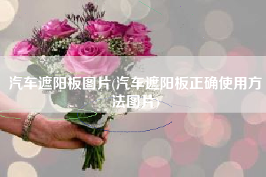 汽车遮阳板图片(汽车遮阳板正确使用方法图片)