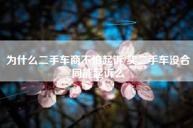 为什么二手车商不怕起诉/买二手车没合同能起诉么