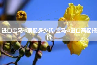 进口宝马x5顶配多少钱/宝马x5进口高配报价