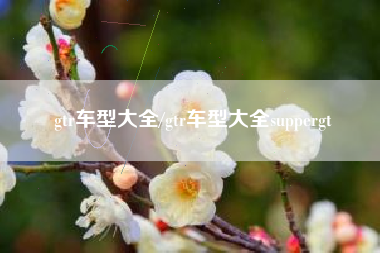 gtr车型大全/gtr车型大全suppergt
