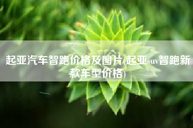 起亚汽车智跑价格及图片(起亚suv智跑新款车型价格)