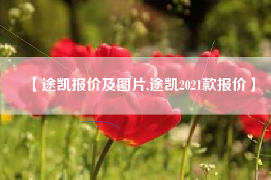 【途凯报价及图片,途凯2021款报价】