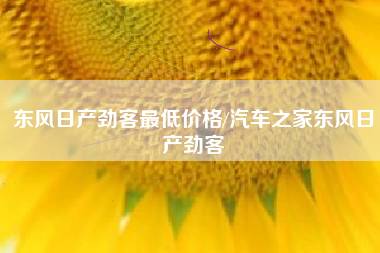东风日产劲客最低价格/汽车之家东风日产劲客