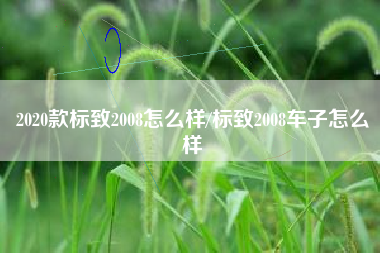 2020款标致2008怎么样/标致2008车子怎么样