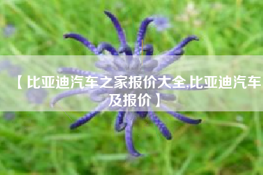【比亚迪汽车之家报价大全,比亚迪汽车及报价】 【比亚迪汽车之家报价大全,比亚迪汽车及报价】