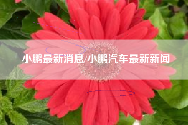 小鹏最新消息/小鹏汽车最新新闻